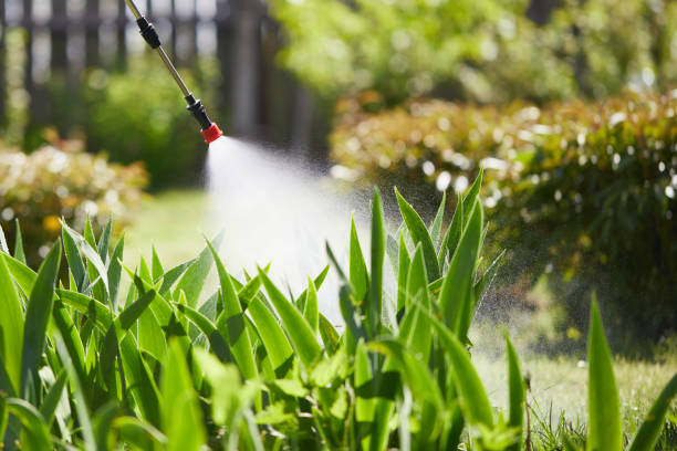 Tamper-Resistant Bait Stations for Rodents in Rossville