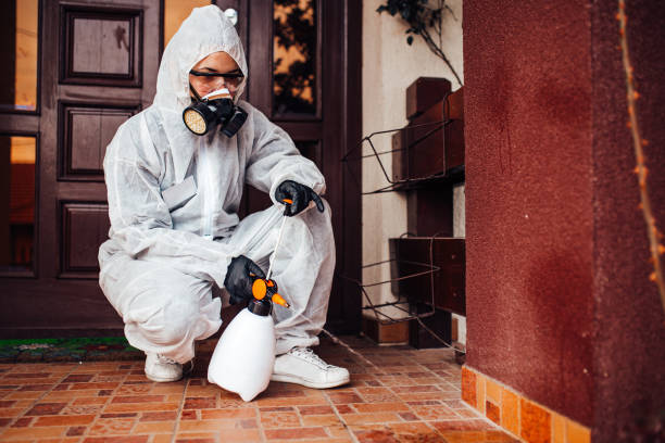 Attic and Crawl Space Rodent Treatment in Rossville